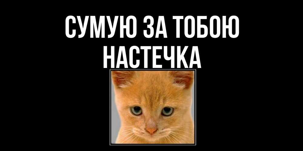 Открытка на каждый день з підписом, Настечка Сумую за тобою открытки рыжий котенок скучает по тебе Прикольна листівка з побажанням онлайн скачати безкоштовно 