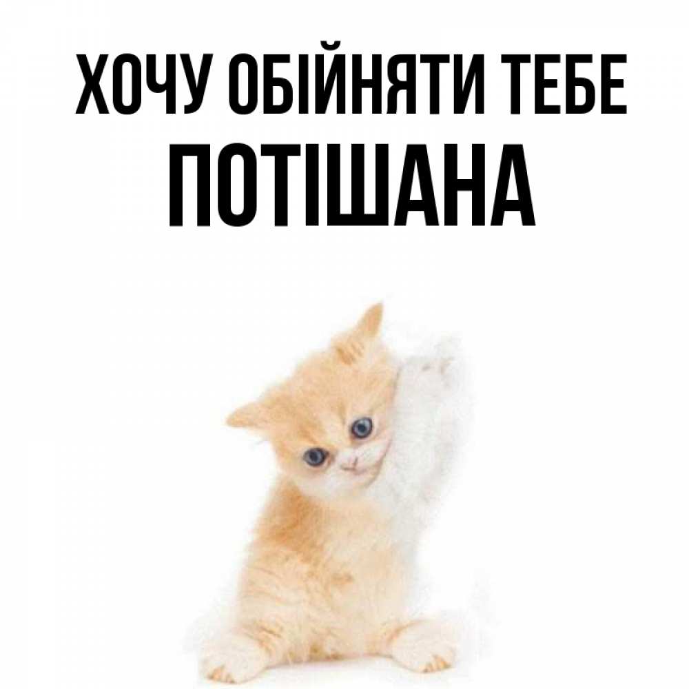 Открытка на каждый день з підписом, Потішана Хочу обійняти тебе я хочу очень скорее обнимаешек Прикольна листівка з побажанням онлайн скачати безкоштовно 