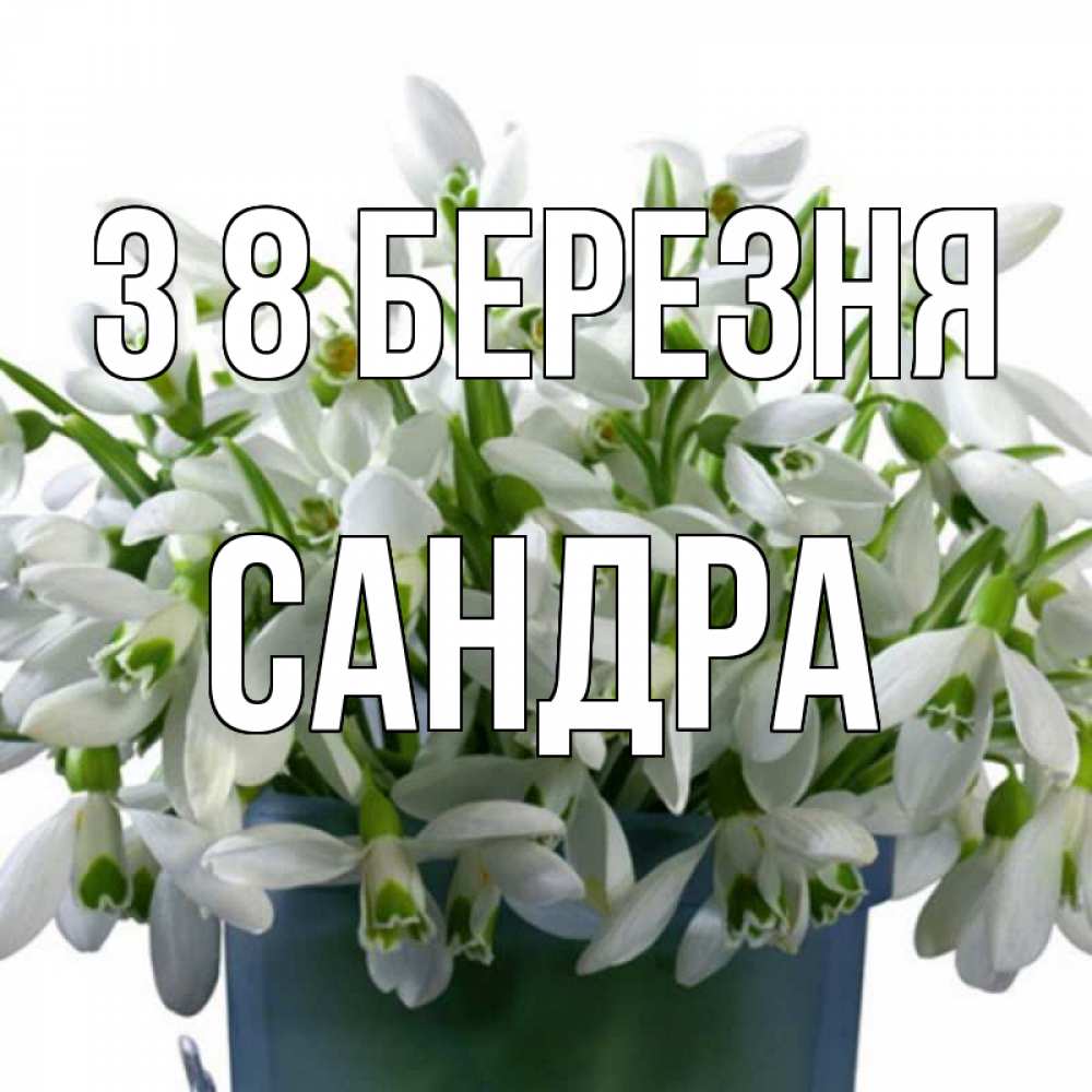 Открытка на каждый день з підписом, Сандра З 8 БЕРЕЗНЯ цветы к международному женскому дню Прикольна листівка з побажанням онлайн скачати безкоштовно 
