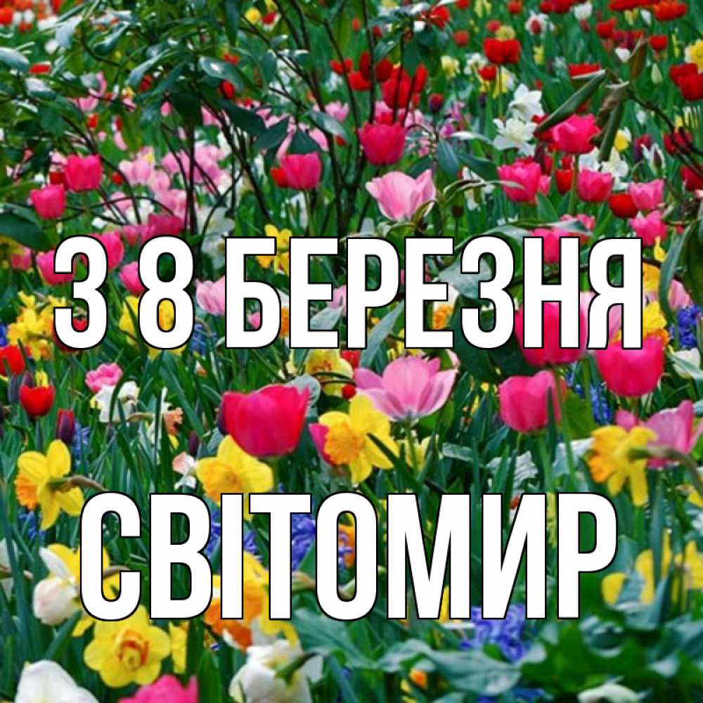 Открытка на каждый день з підписом, Світомир З 8 БЕРЕЗНЯ с международным женским днем поздравления для женщины Прикольна листівка з побажанням онлайн скачати безкоштовно 