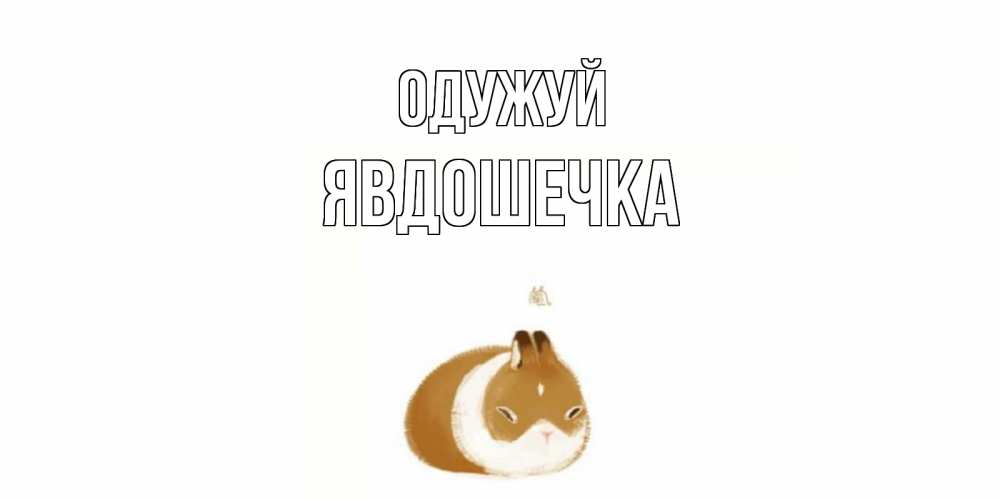 Открытка на каждый день з підписом, Явдошечка Одужуй морская свинка на открытке с пожеланиями не болеть Прикольна листівка з побажанням онлайн скачати безкоштовно 