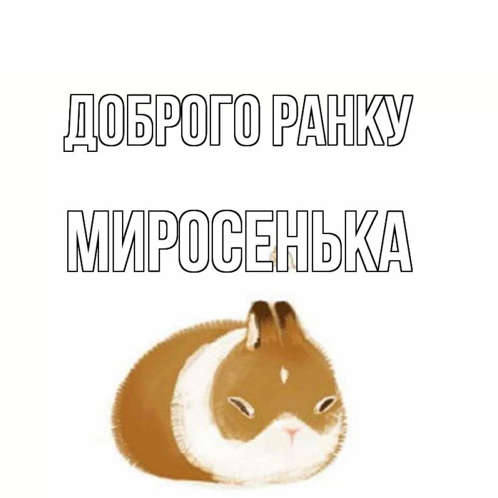 Открытка на каждый день з підписом, Миросенька Доброго ранку хорошего утречка Прикольна листівка з побажанням онлайн скачати безкоштовно 