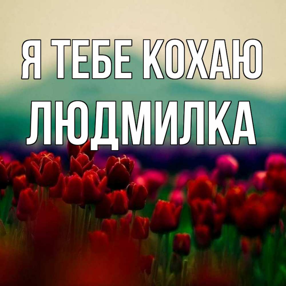 Открытка на каждый день з підписом, Людмилка Я тебе кохаю тюльпаны 4 Прикольна листівка з побажанням онлайн скачати безкоштовно 
