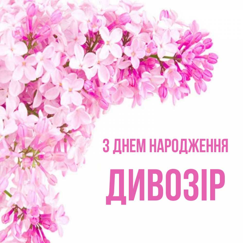 Открытка на каждый день з підписом, Дивозір З Днем народження Сирень на белом фоне Прикольна листівка з побажанням онлайн скачати безкоштовно 