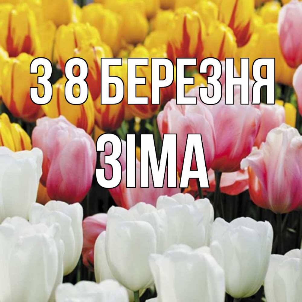 Открытка на каждый день з підписом, Зіма З 8 БЕРЕЗНЯ разноцветные цветы Прикольна листівка з побажанням онлайн скачати безкоштовно 