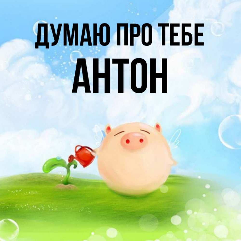 Открытка на каждый день з підписом, Антон Думаю про тебе позитивная свинюшка Прикольна листівка з побажанням онлайн скачати безкоштовно 