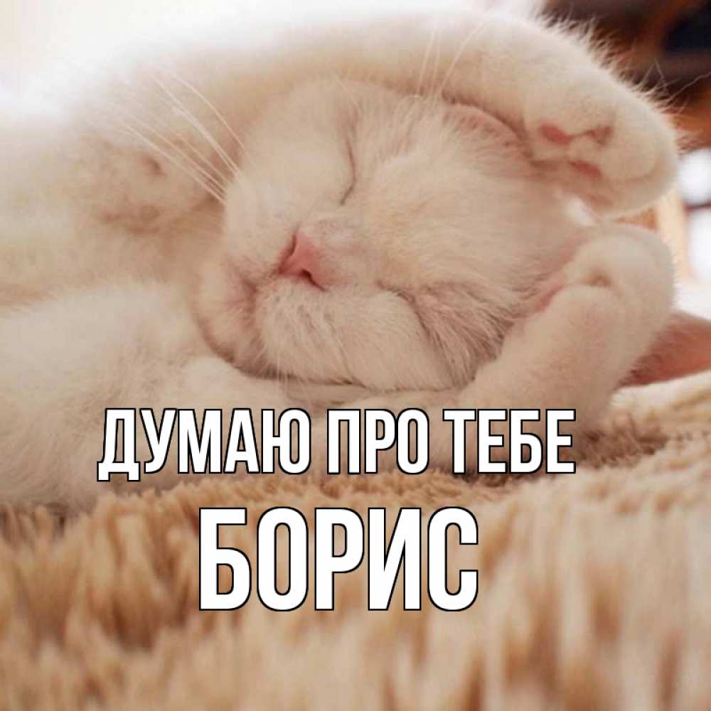 Открытка на каждый день з підписом, Борис Думаю про тебе для любимой девушки милота Прикольна листівка з побажанням онлайн скачати безкоштовно 