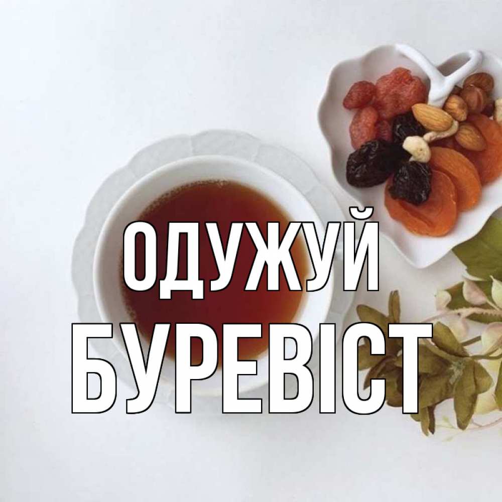 Открытка на каждый день з підписом, Буревіст Одужуй неизвестные растения Прикольна листівка з побажанням онлайн скачати безкоштовно 
