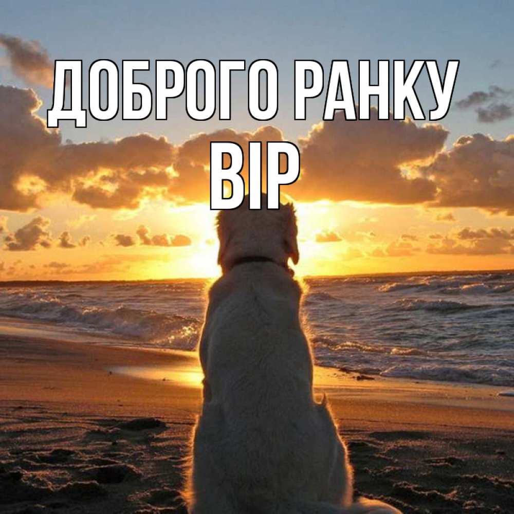 Открытка на каждый день з підписом, Вір Доброго ранку восход солнца Прикольна листівка з побажанням онлайн скачати безкоштовно 