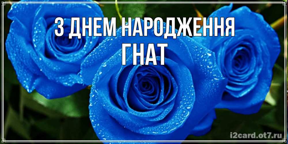 Открытка на каждый день з підписом, Гнат З Днем народження розы с синим цветом Прикольна листівка з побажанням онлайн скачати безкоштовно 