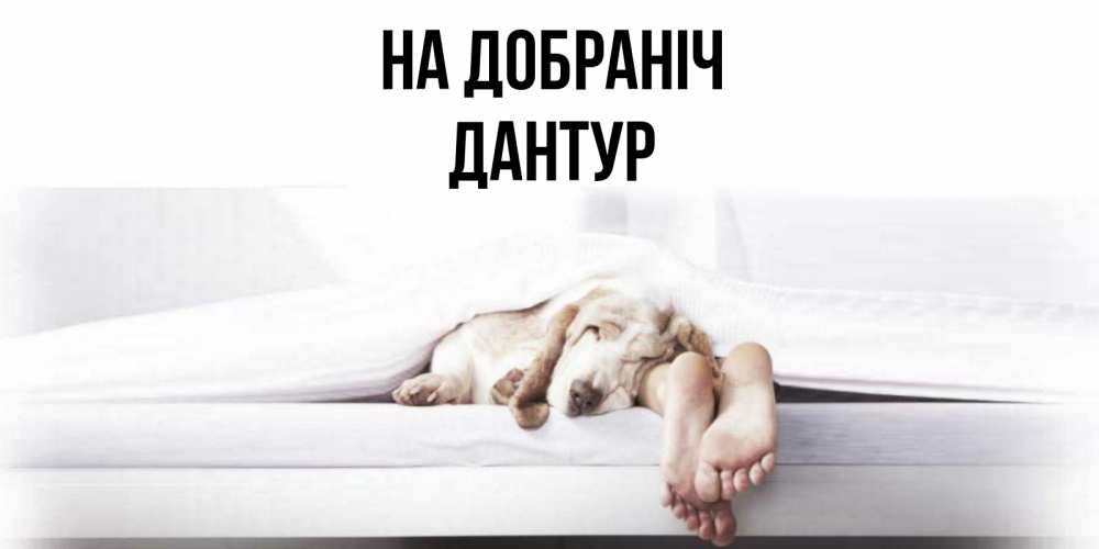 Открытка на каждый день з підписом, Дантур На добраніч кровать с собакой пожелание сладких снов и спокойной ночи Прикольна листівка з побажанням онлайн скачати безкоштовно 