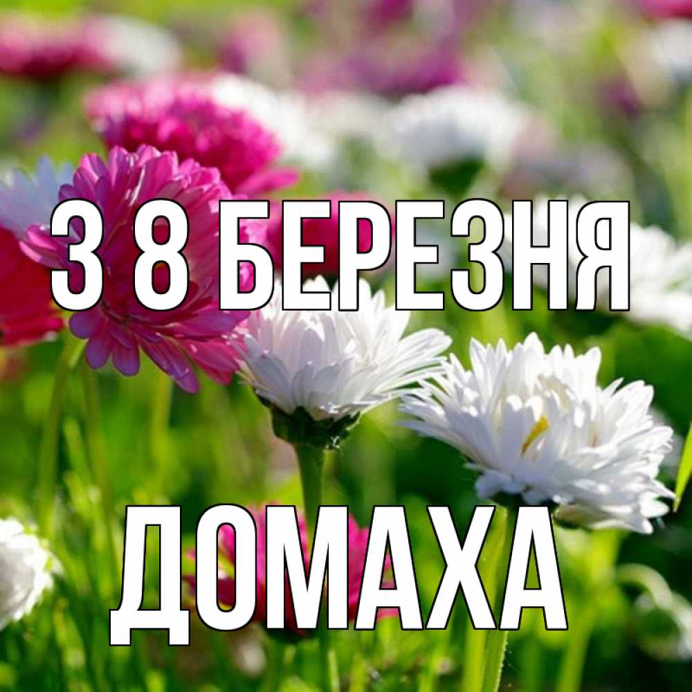 Открытка на каждый день з підписом, Домаха З 8 БЕРЕЗНЯ международный женский день 1 Прикольна листівка з побажанням онлайн скачати безкоштовно 
