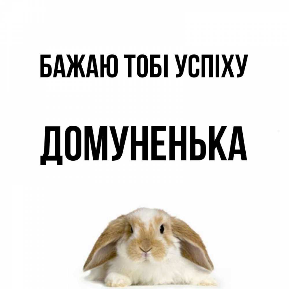 Открытка на каждый день з підписом, Домуненька Бажаю тобі успіху открытки с произвольным текстом который можно вставить в открытку и создать ее самостоятельно бесплатно онлайн Прикольна листівка з побажанням онлайн скачати безкоштовно 