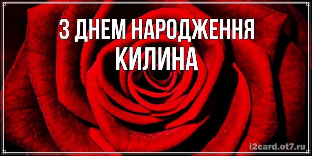 Открытка на каждый день з підписом, Килина З Днем народження алая роза Прикольна листівка з побажанням онлайн скачати безкоштовно 