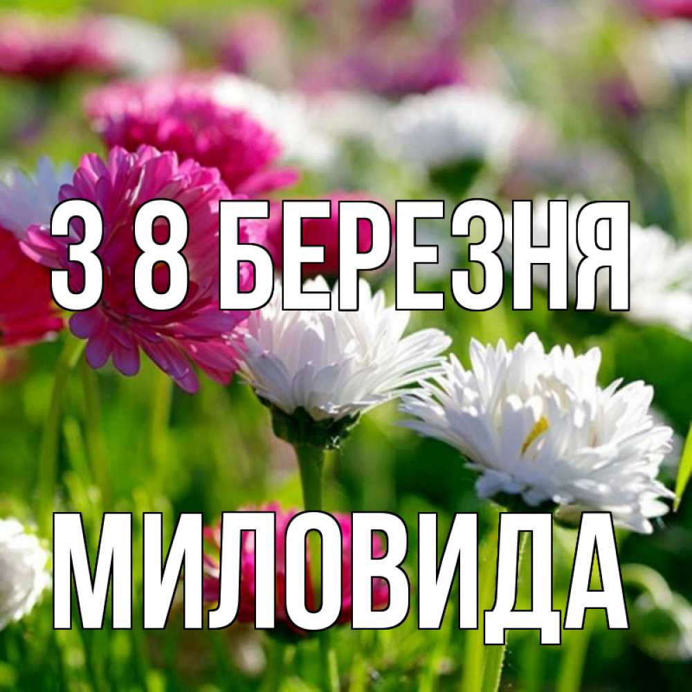 Открытка на каждый день з підписом, Миловида З 8 БЕРЕЗНЯ международный женский день 1 Прикольна листівка з побажанням онлайн скачати безкоштовно 