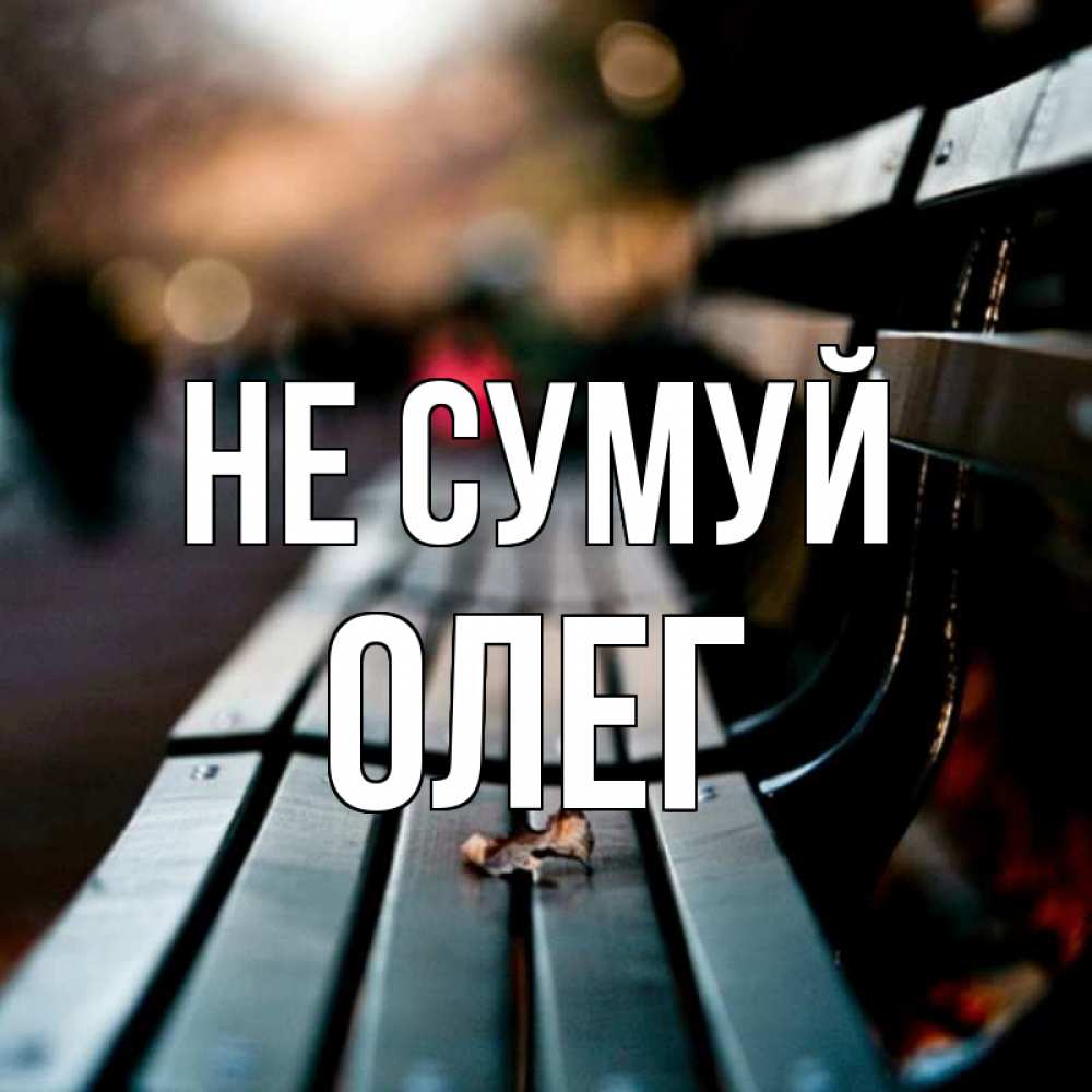 Открытка на каждый день з підписом, Олег Не сумуй размытый фон Прикольна листівка з побажанням онлайн скачати безкоштовно 