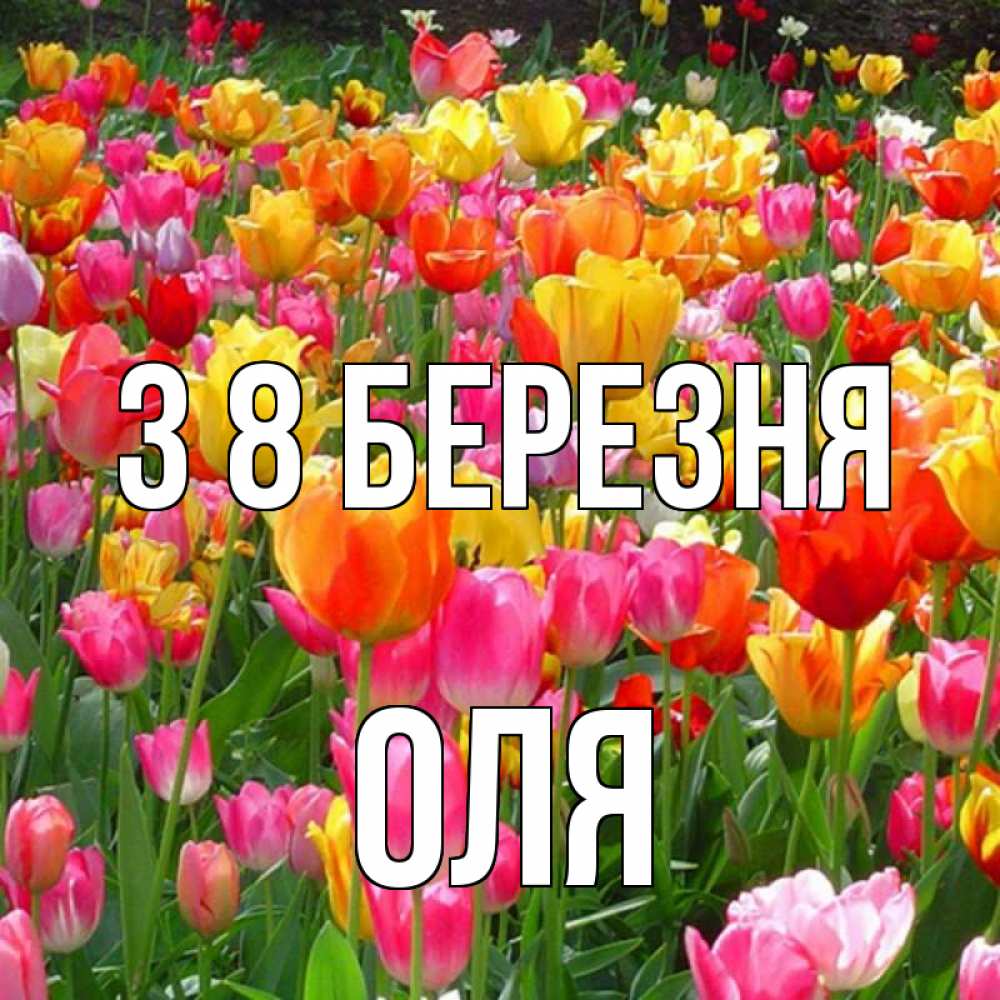 Открытка на каждый день з підписом, Оля З 8 БЕРЕЗНЯ на международный женский день Прикольна листівка з побажанням онлайн скачати безкоштовно 