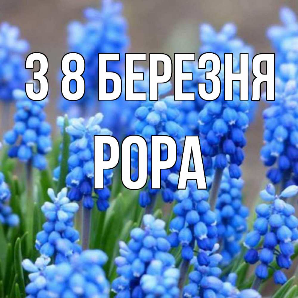 Открытка на каждый день з підписом, Рора З 8 БЕРЕЗНЯ Поздравительная открытка для женщин с цветами на праздничную дату Прикольна листівка з побажанням онлайн скачати безкоштовно 