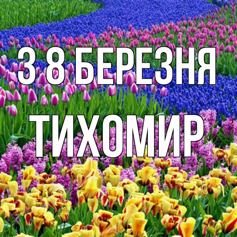 Открытка на каждый день з підписом, Тихомир З 8 БЕРЕЗНЯ цветы Прикольна листівка з побажанням онлайн скачати безкоштовно 