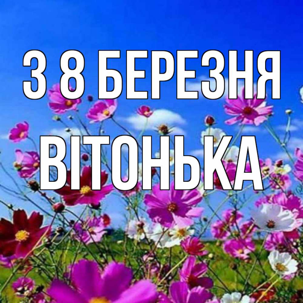 Открытка на каждый день з підписом, Вітонька З 8 БЕРЕЗНЯ цветы Прикольна листівка з побажанням онлайн скачати безкоштовно 