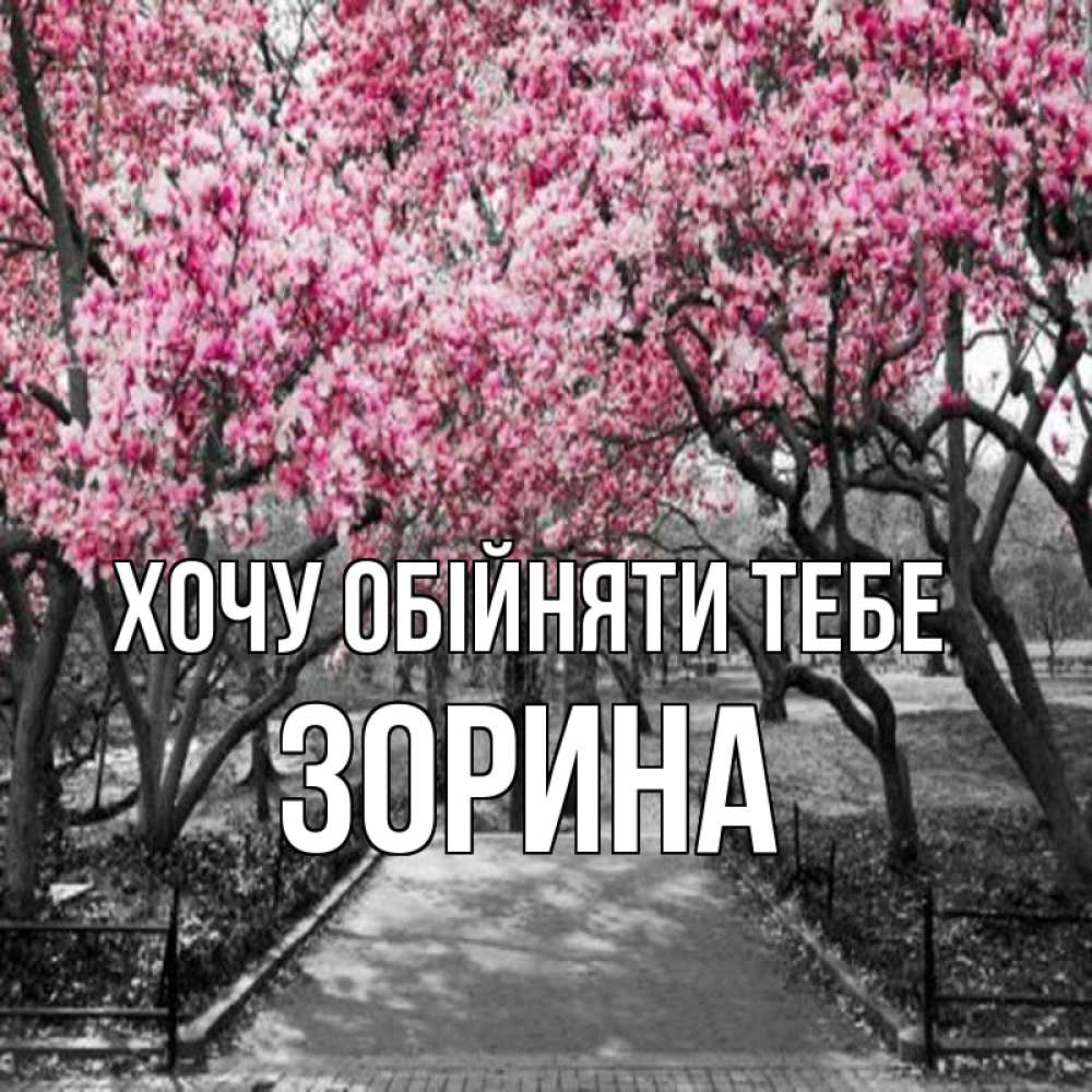 Открытка на каждый день з підписом, Зорина Хочу обійняти тебе обработанное фото Прикольна листівка з побажанням онлайн скачати безкоштовно 