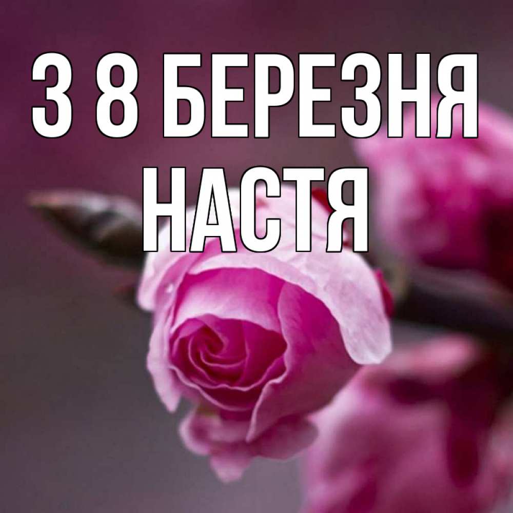 Открытка на каждый день з підписом, Настя З 8 БЕРЕЗНЯ весна Прикольна листівка з побажанням онлайн скачати безкоштовно 