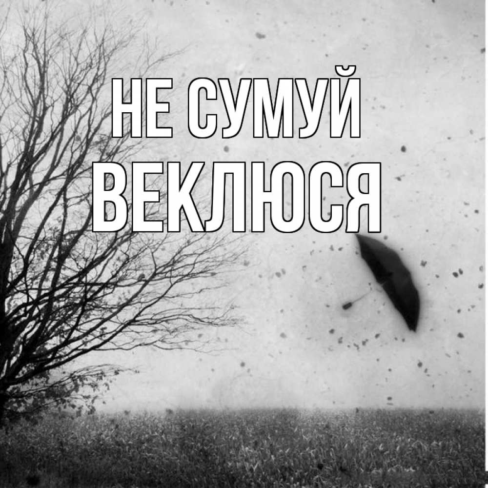 Открытка на каждый день з підписом, Веклюся Не сумуй летящий зонтик Прикольна листівка з побажанням онлайн скачати безкоштовно 