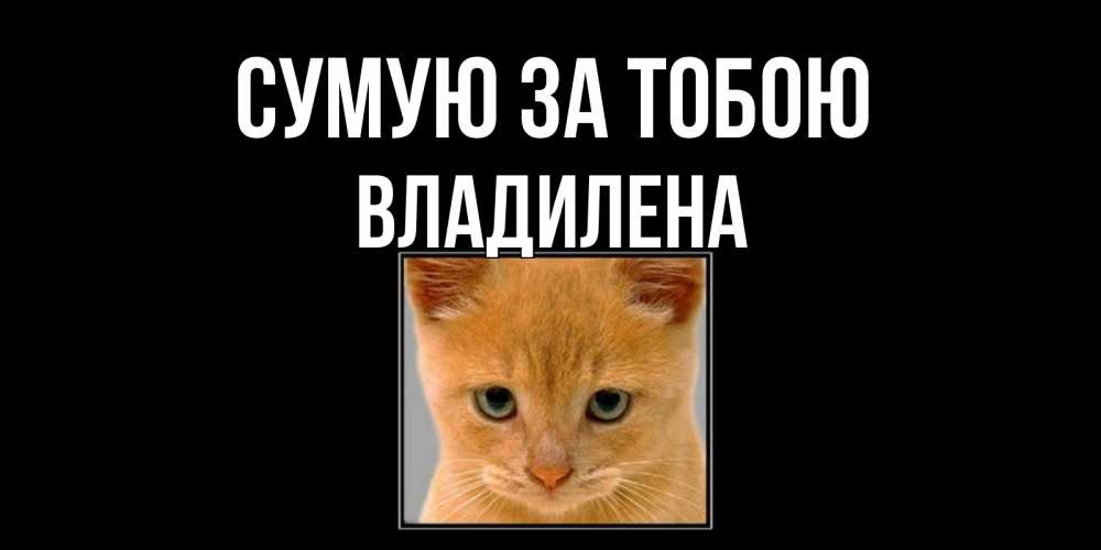 Открытка на каждый день з підписом, Владилена Сумую за тобою открытки рыжий котенок скучает по тебе Прикольна листівка з побажанням онлайн скачати безкоштовно 
