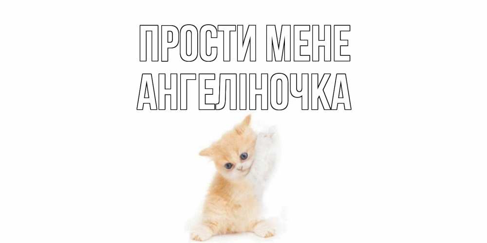 Открытка на каждый день з підписом, Ангеліночка Прости мене кот Прикольна листівка з побажанням онлайн скачати безкоштовно 