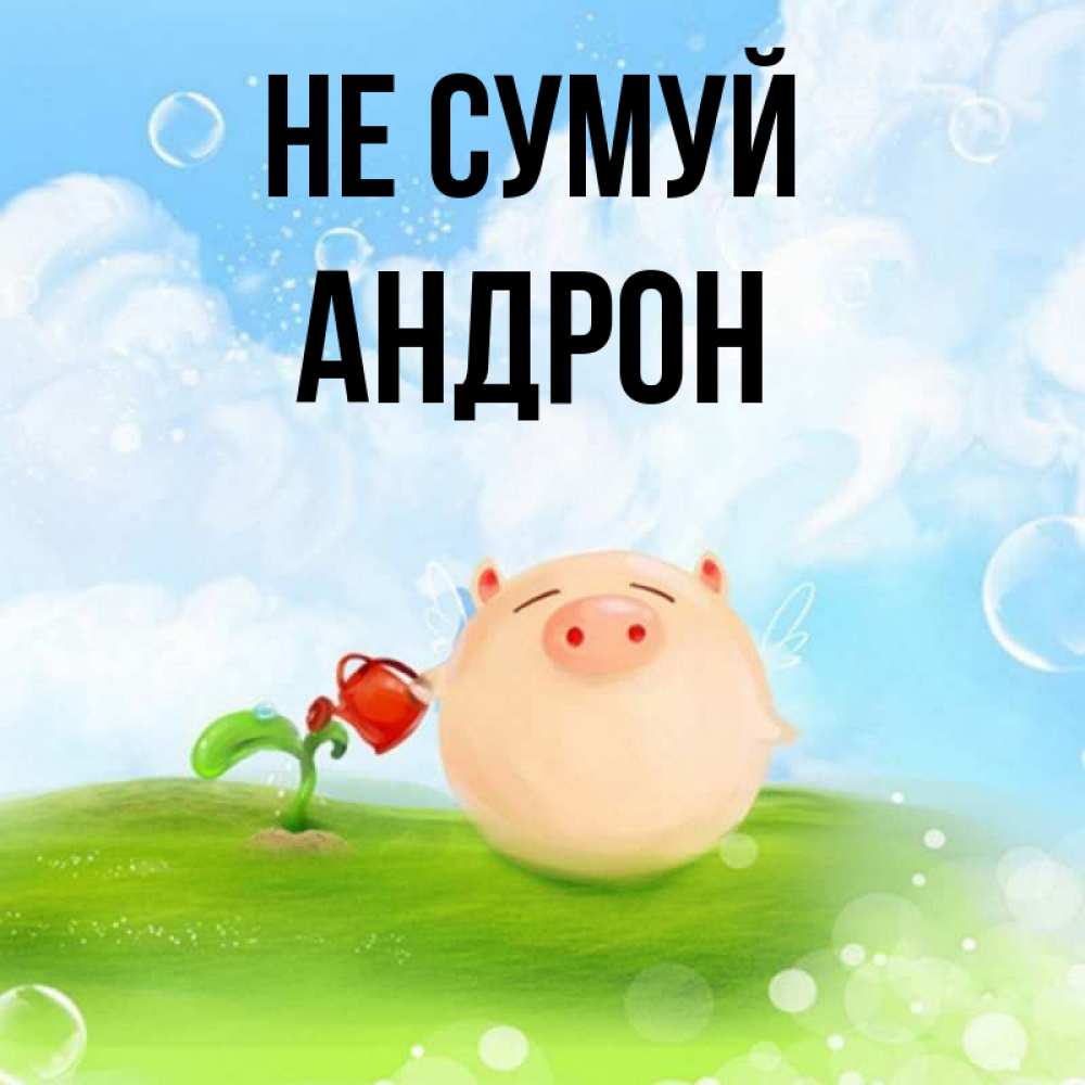 Открытка на каждый день з підписом, Андрон Не сумуй поливает цветок порося Прикольна листівка з побажанням онлайн скачати безкоштовно 