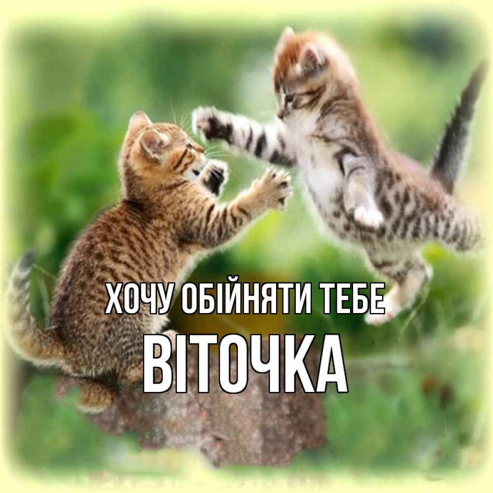 Открытка на каждый день з підписом, Віточка Хочу обійняти тебе игры котят Прикольна листівка з побажанням онлайн скачати безкоштовно 