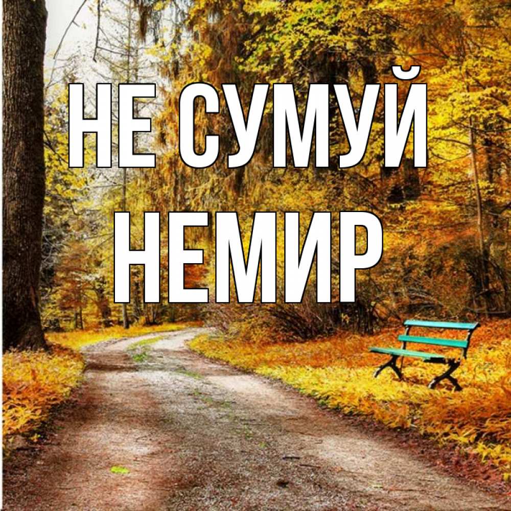 Открытка на каждый день з підписом, Немир Не сумуй зеленая лавочка Прикольна листівка з побажанням онлайн скачати безкоштовно 