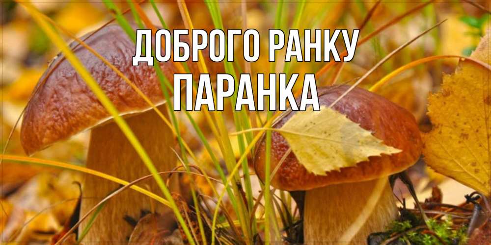 Открытка на каждый день з підписом, Паранка Доброго ранку осенние грибы Прикольна листівка з побажанням онлайн скачати безкоштовно 
