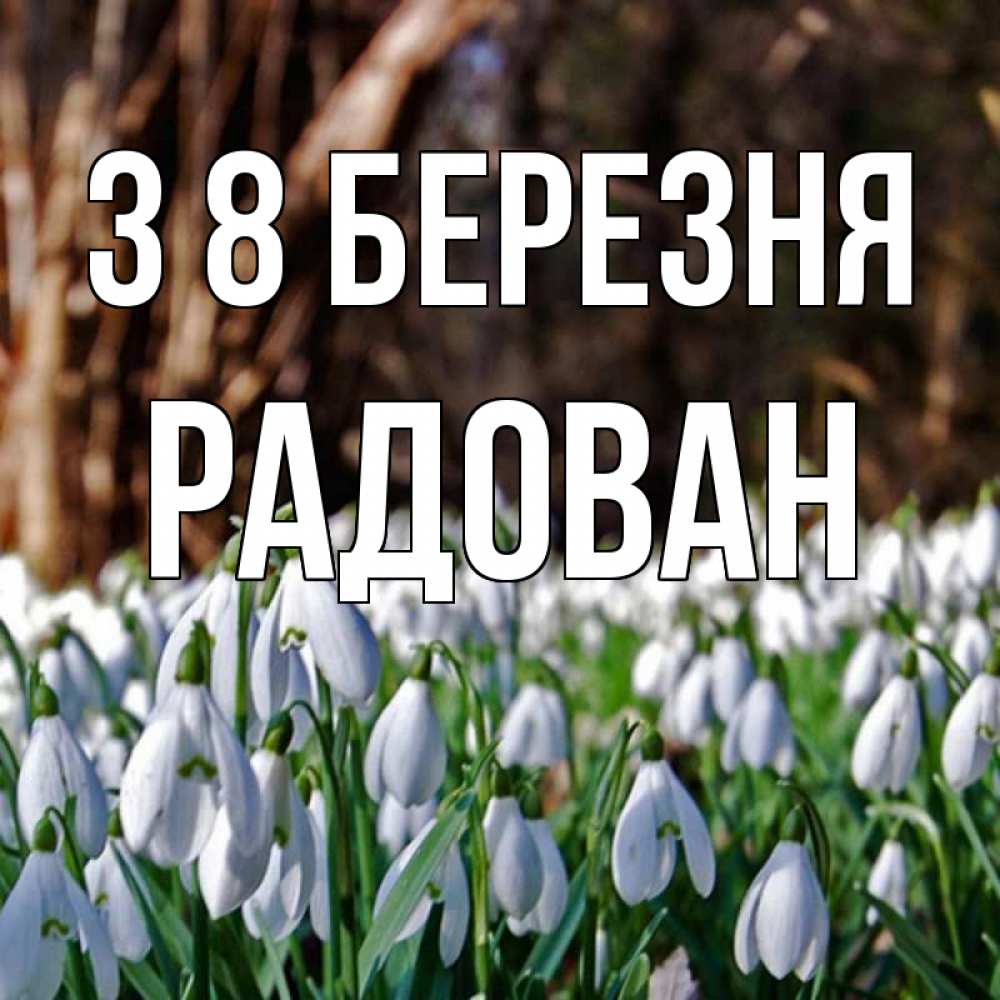 Открытка на каждый день з підписом, Радован З 8 БЕРЕЗНЯ с подснежниками 1 Прикольна листівка з побажанням онлайн скачати безкоштовно 