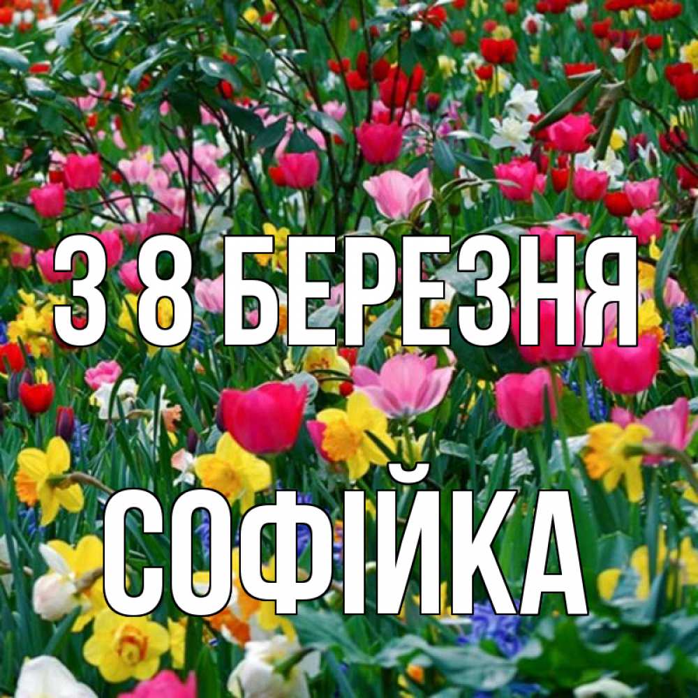 Открытка на каждый день з підписом, Софійка З 8 БЕРЕЗНЯ с международным женским днем поздравления для женщины Прикольна листівка з побажанням онлайн скачати безкоштовно 
