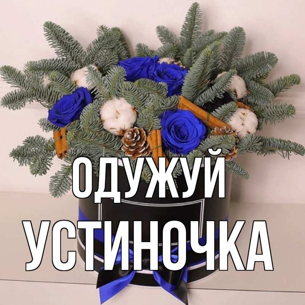 Открытка на каждый день з підписом, Устиночка Одужуй короче кто то загрузил эти шишки Прикольна листівка з побажанням онлайн скачати безкоштовно 