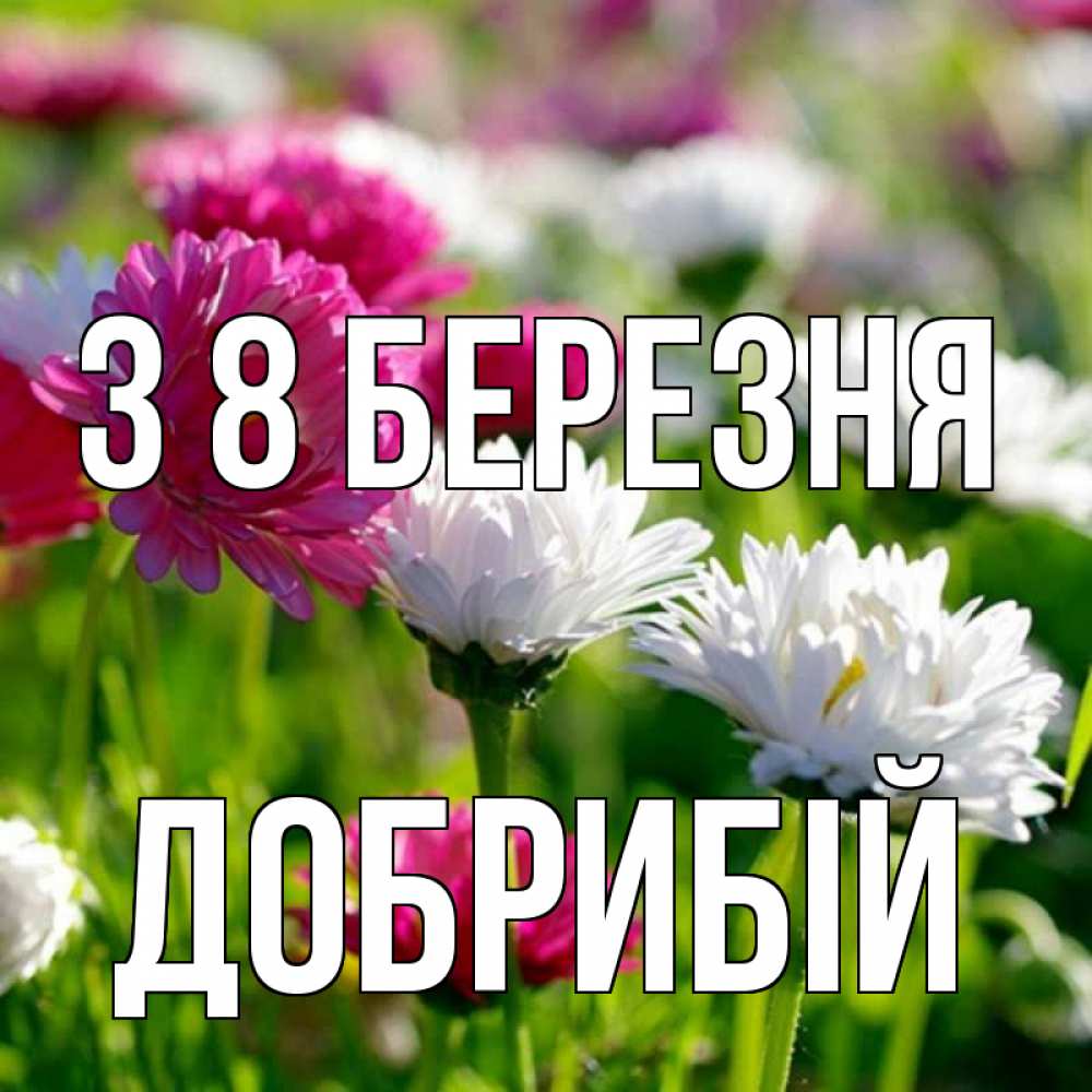 Открытка на каждый день з підписом, Добрибій З 8 БЕРЕЗНЯ международный женский день 1 Прикольна листівка з побажанням онлайн скачати безкоштовно 