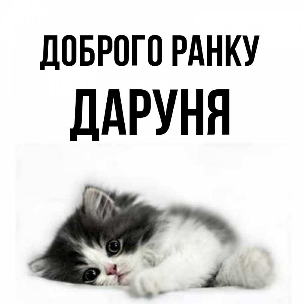 Открытка на каждый день з підписом, Даруня Доброго ранку кот лапки Прикольна листівка з побажанням онлайн скачати безкоштовно 