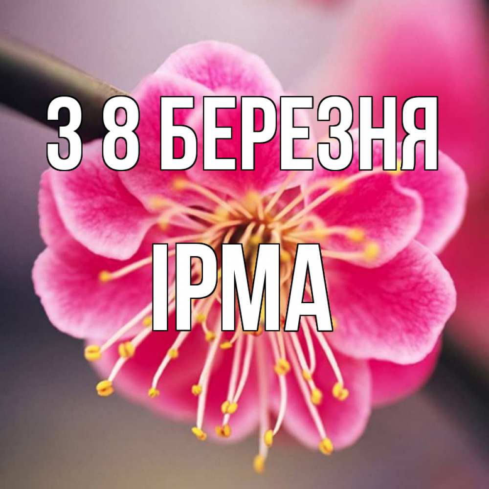 Открытка на каждый день з підписом, Ірма З 8 БЕРЕЗНЯ цветы Прикольна листівка з побажанням онлайн скачати безкоштовно 
