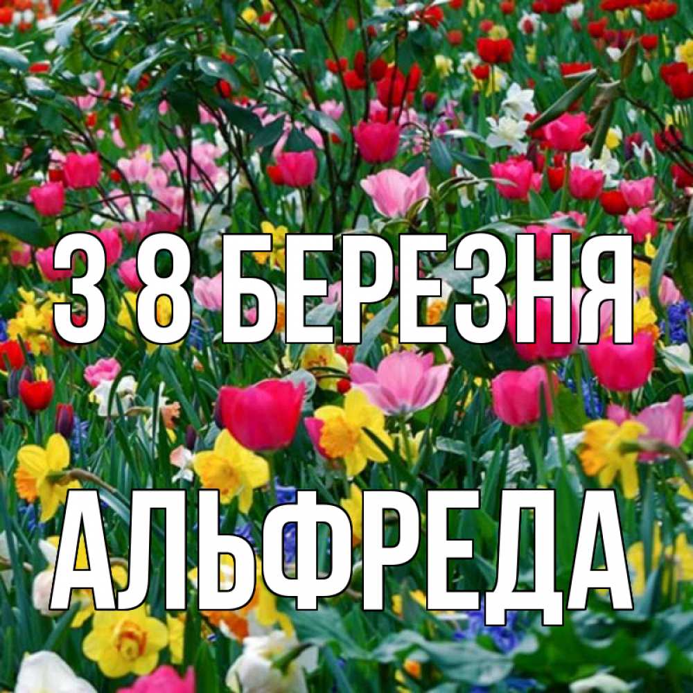 Открытка на каждый день з підписом, Альфреда З 8 БЕРЕЗНЯ с международным женским днем поздравления для женщины Прикольна листівка з побажанням онлайн скачати безкоштовно 