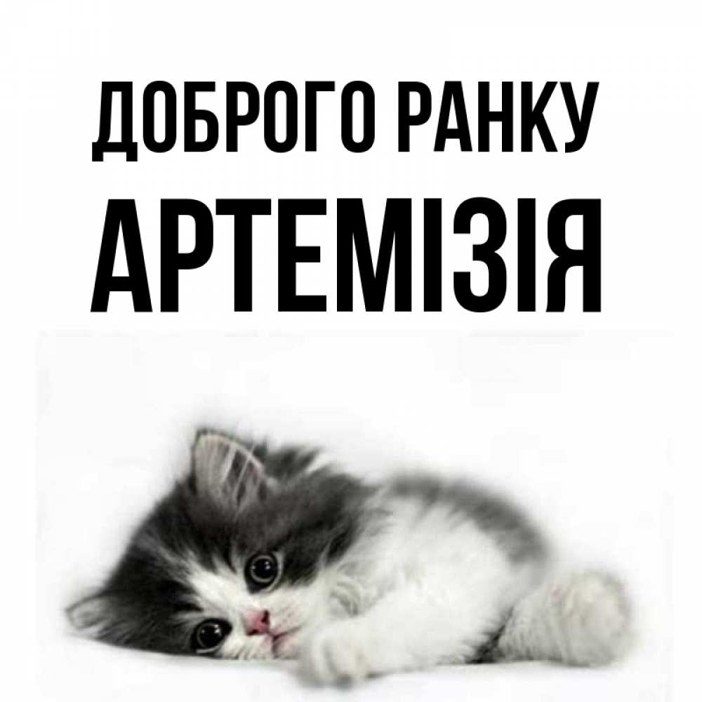 Открытка на каждый день з підписом, Артемізія Доброго ранку кот лапки Прикольна листівка з побажанням онлайн скачати безкоштовно 