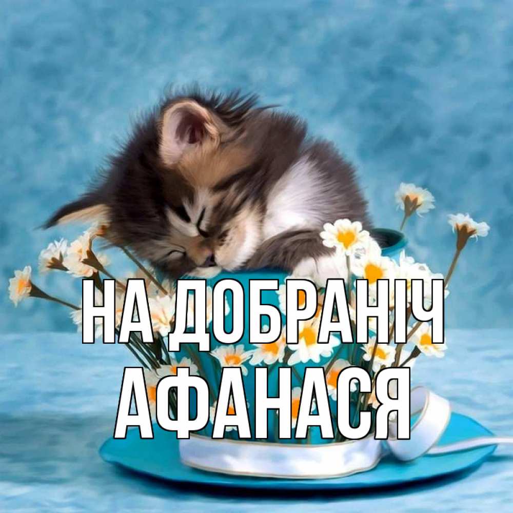 Открытка на каждый день з підписом, Афанася На добраніч котенок спит в кружке с блюдцем Прикольна листівка з побажанням онлайн скачати безкоштовно 