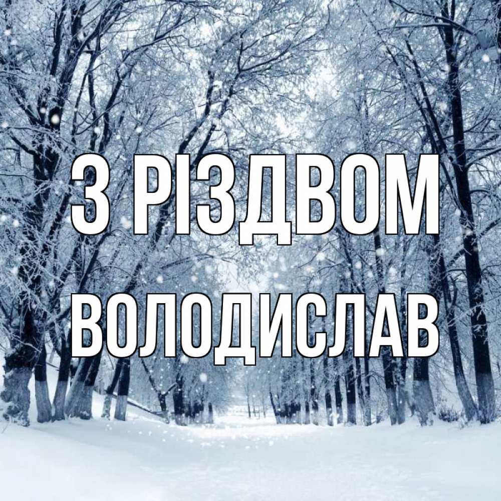 Открытка на каждый день з підписом, Володислав З Різдвом снег, лес, парк Прикольна листівка з побажанням онлайн скачати безкоштовно 