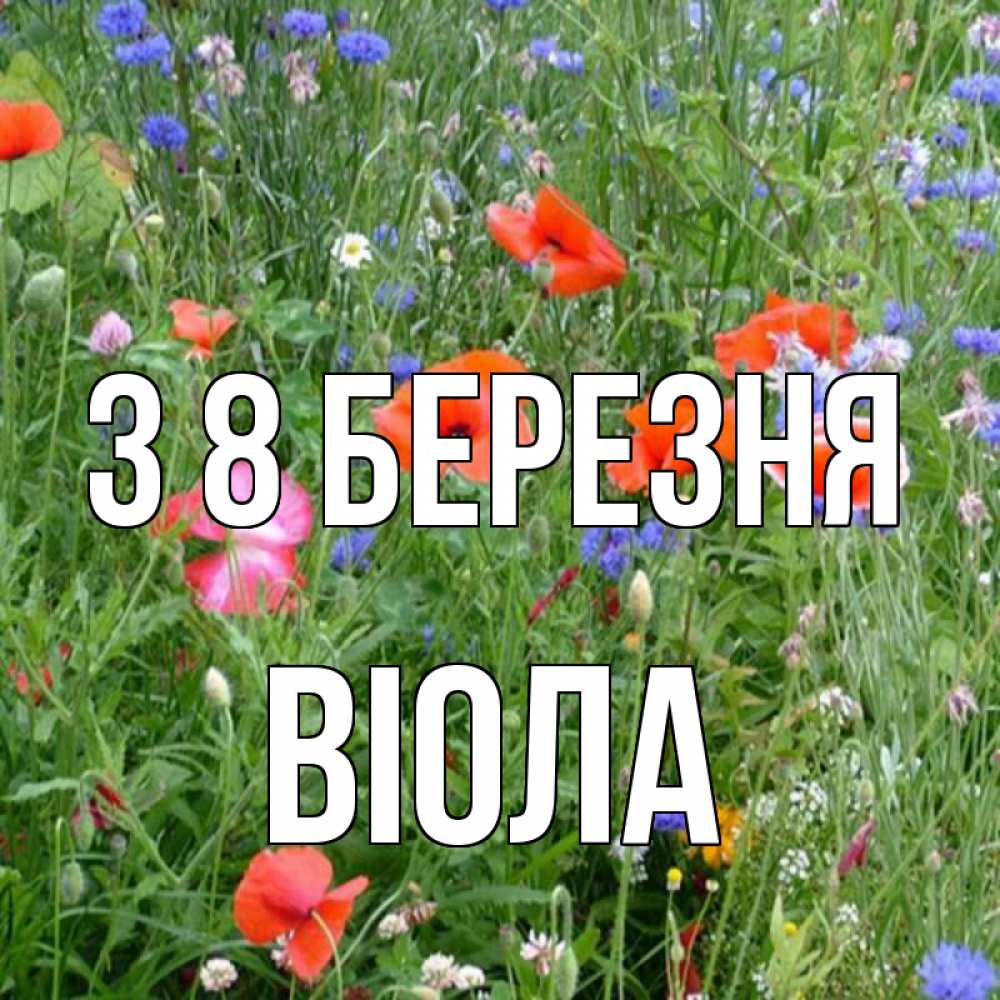 Открытка на каждый день з підписом, Віола З 8 БЕРЕЗНЯ международный женский день 4 Прикольна листівка з побажанням онлайн скачати безкоштовно 