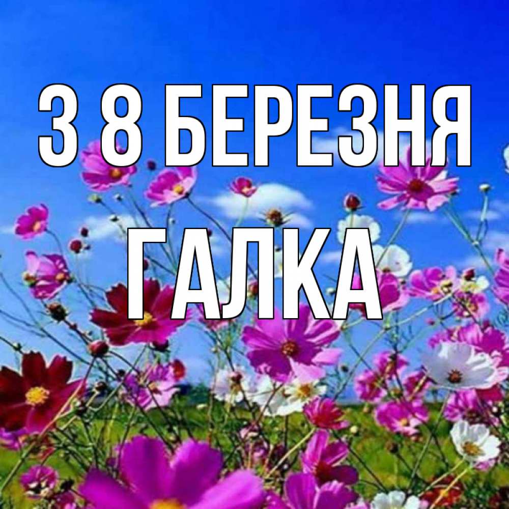 Открытка на каждый день з підписом, Галка З 8 БЕРЕЗНЯ цветы Прикольна листівка з побажанням онлайн скачати безкоштовно 