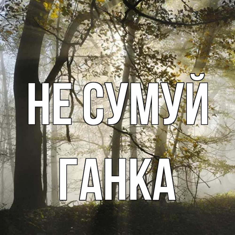 Открытка на каждый день з підписом, Ганка Не сумуй лес и свет Прикольна листівка з побажанням онлайн скачати безкоштовно 