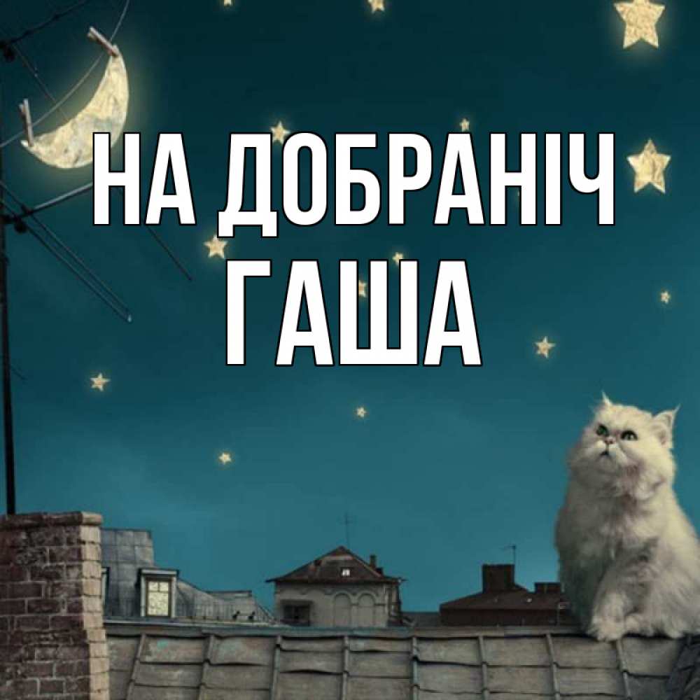 Открытка на каждый день з підписом, Гаша На добраніч белый кот сидит на крыше Прикольна листівка з побажанням онлайн скачати безкоштовно 
