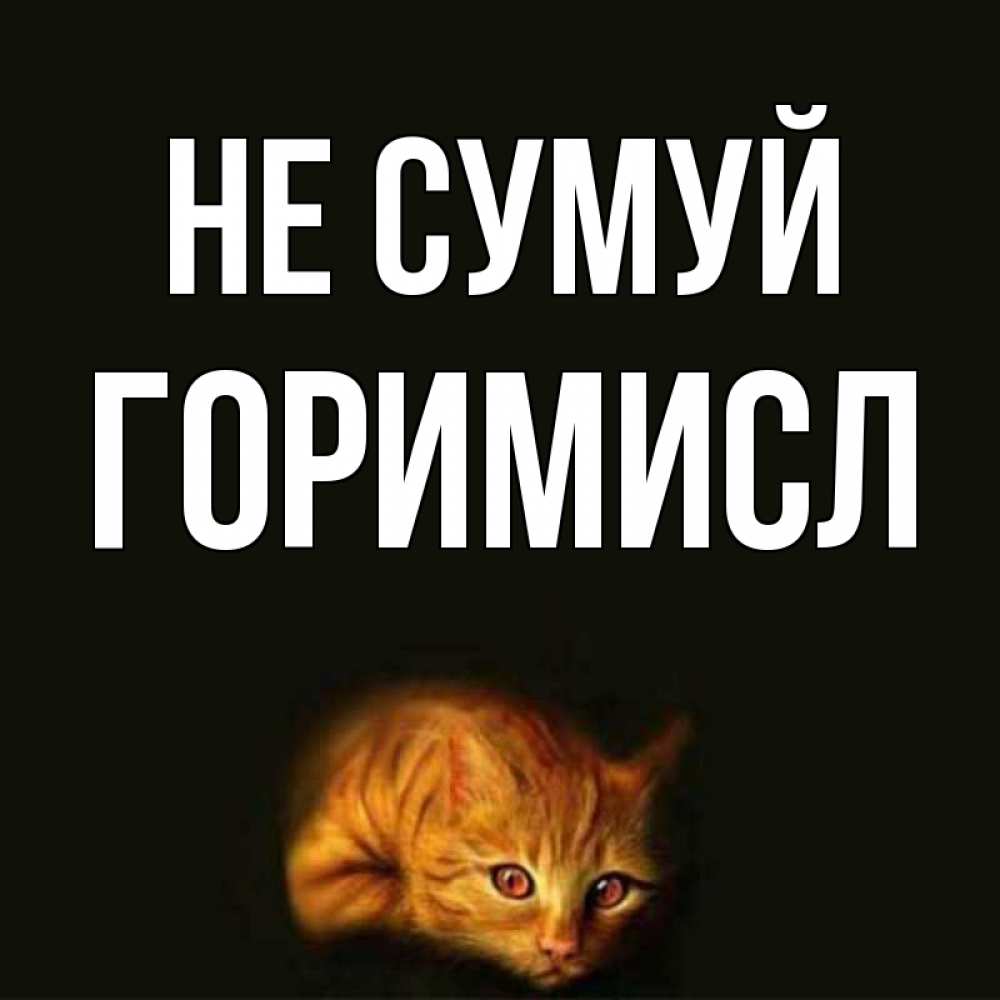 Открытка на каждый день з підписом, Горимисл Не сумуй лежащий кот в темноте Прикольна листівка з побажанням онлайн скачати безкоштовно 