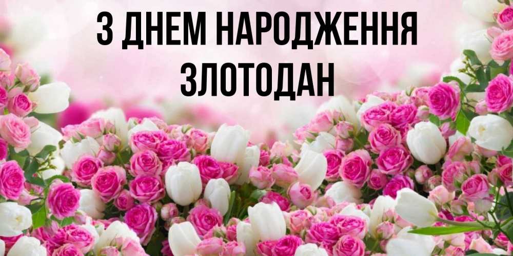 Открытка на каждый день з підписом, Злотодан З Днем народження открытка с разными розами Прикольна листівка з побажанням онлайн скачати безкоштовно 