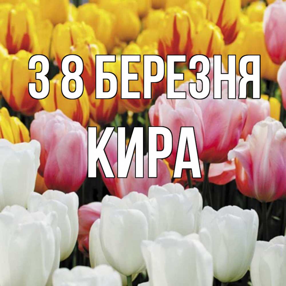 Открытка на каждый день з підписом, Кира З 8 БЕРЕЗНЯ разноцветные цветы Прикольна листівка з побажанням онлайн скачати безкоштовно 